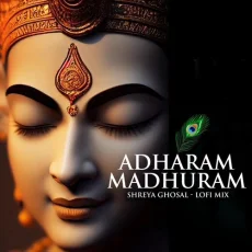 Adharam Madhuram Lofi