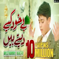 Be Khud Kiye Dete Hain