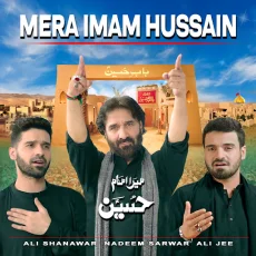 Mera Imam Hussain