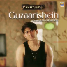 Guzarishein