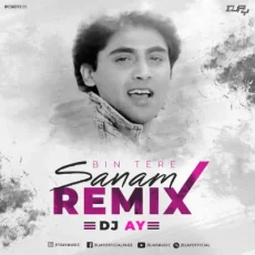 Bin Tere Sanam Remix